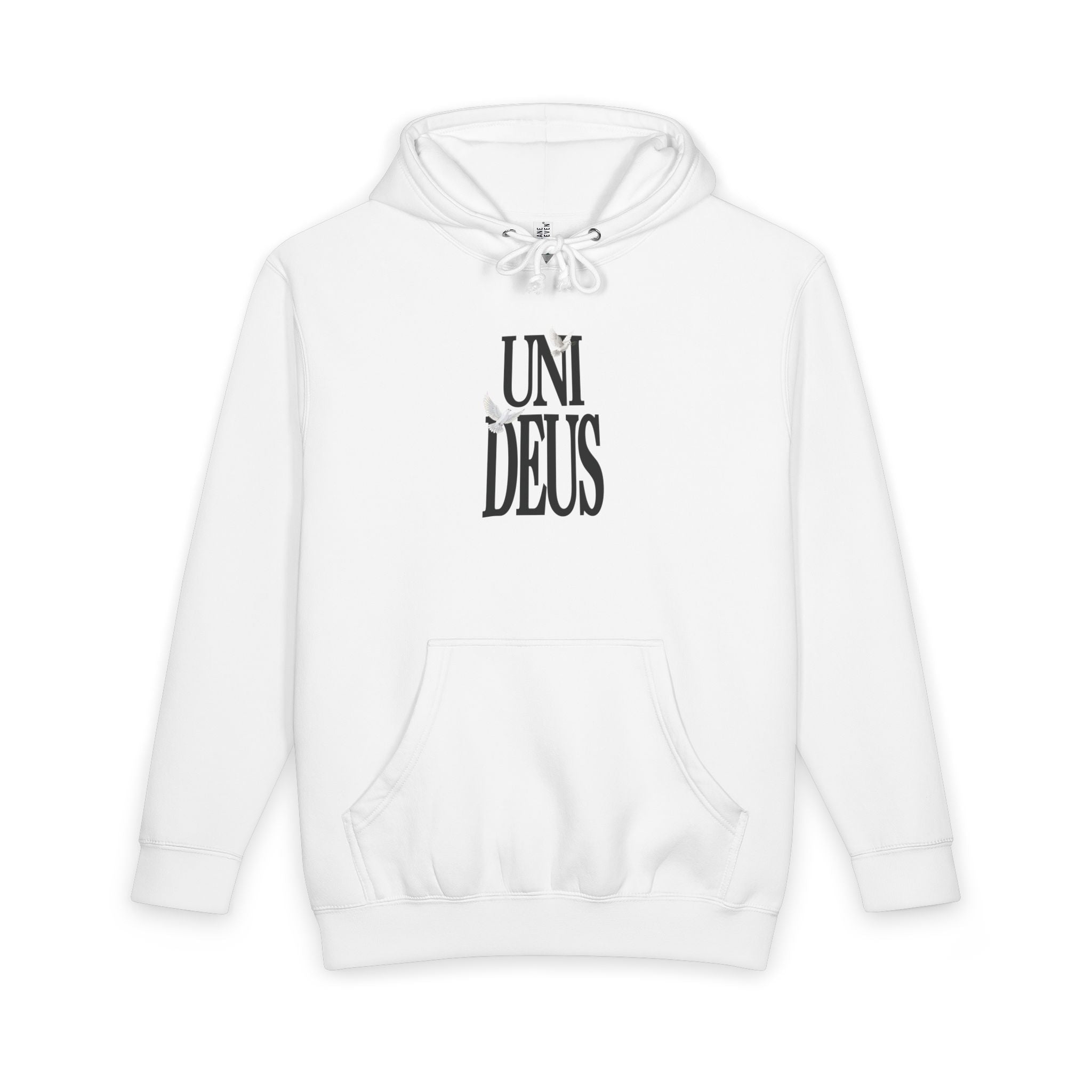 "Follow Jesus" Heavyweight Hoodie - Unideus